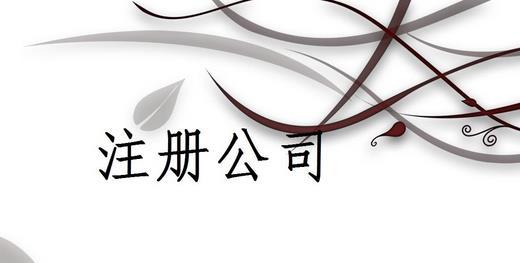 长沙公司注册