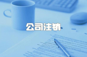 长沙公司注销